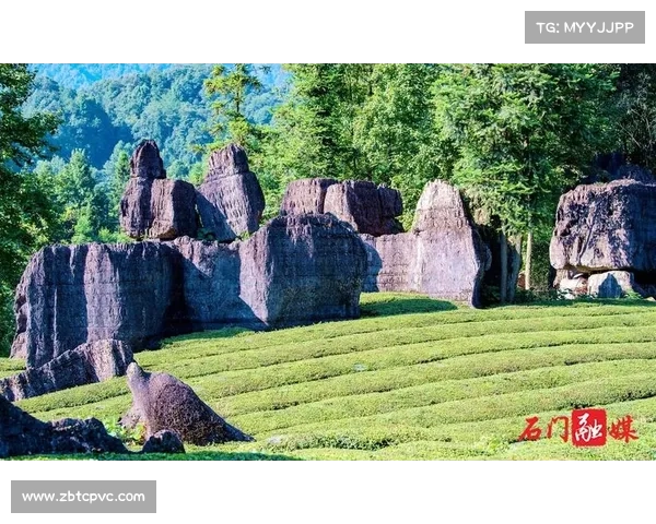 《五彩斑斓自然奇观探索之旅带你领略全球最美的自然奇景》 《五彩斑斓自然奇观探索之旅带你领略全球最美的自然奇景》