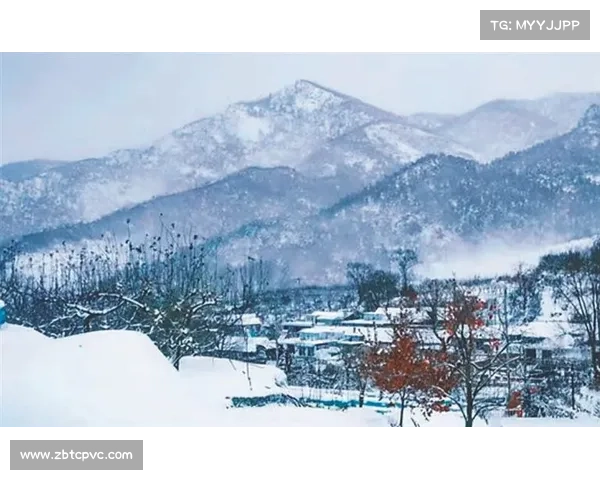 冬日诗意景色中的宁静与纯粹雪花飘落中的自然之美与人心的共鸣 冬日诗意景色中的宁静与纯粹雪花飘落中的自然之美与人心的共鸣